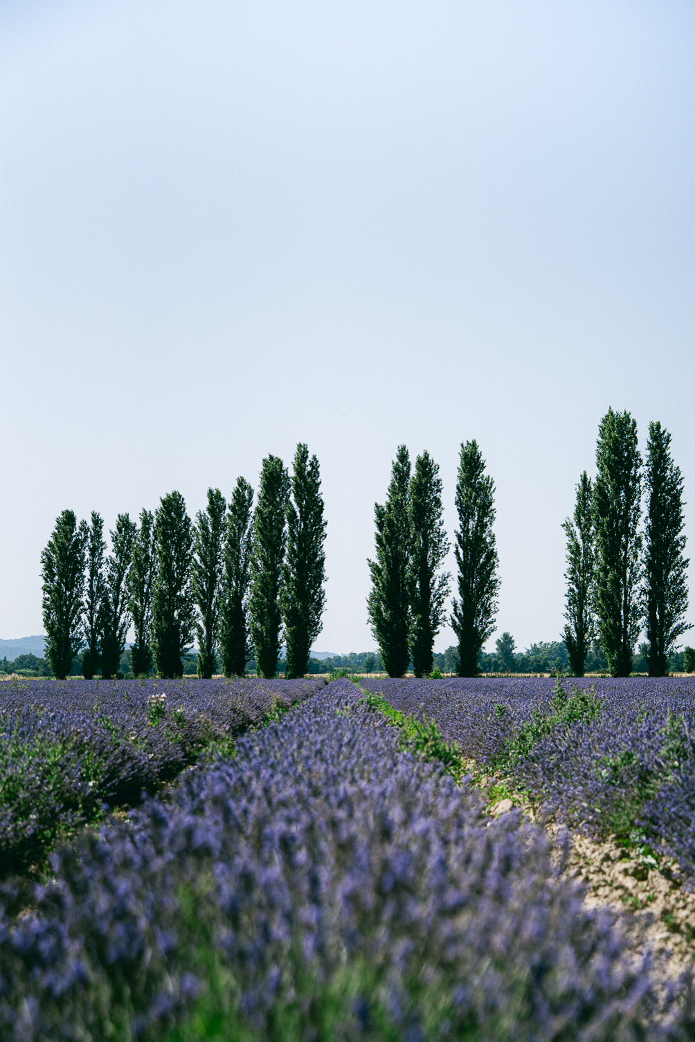 DomainesWedding
