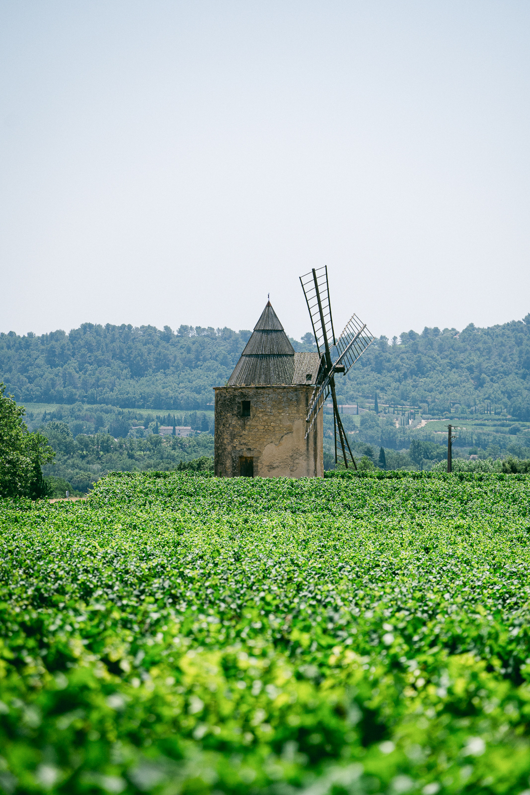 DomainesWedding