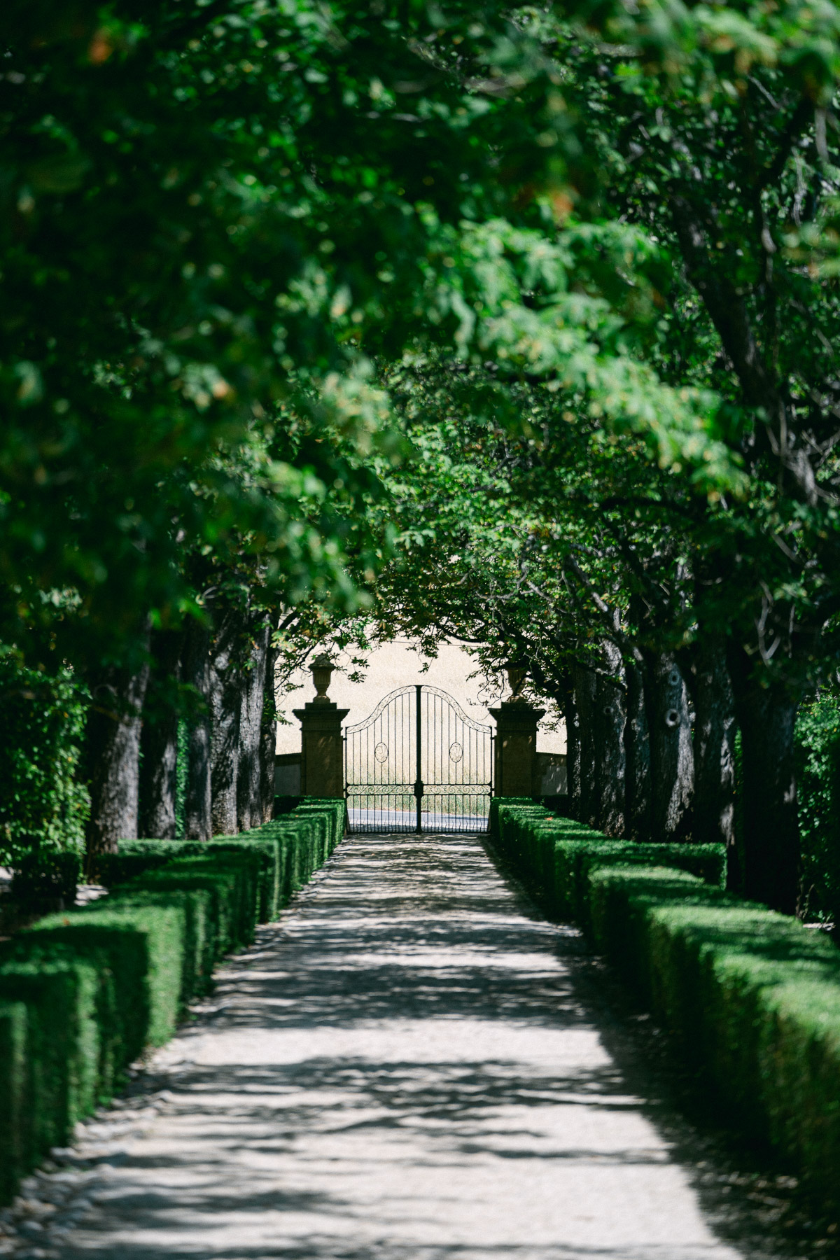 Allée arborée du Château de la Gaude en Provence
