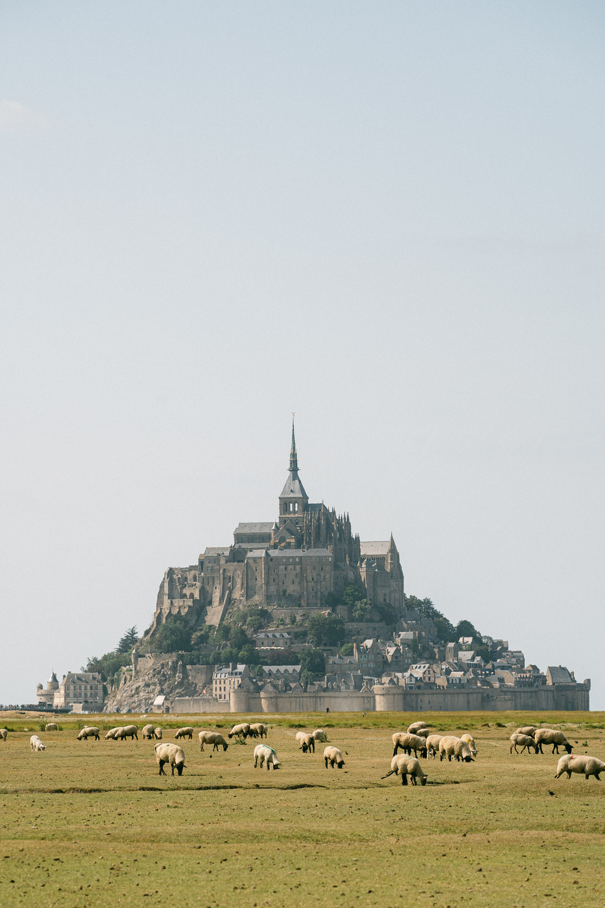 Vue du Mont-Saint-Michel et de son paysage environnant