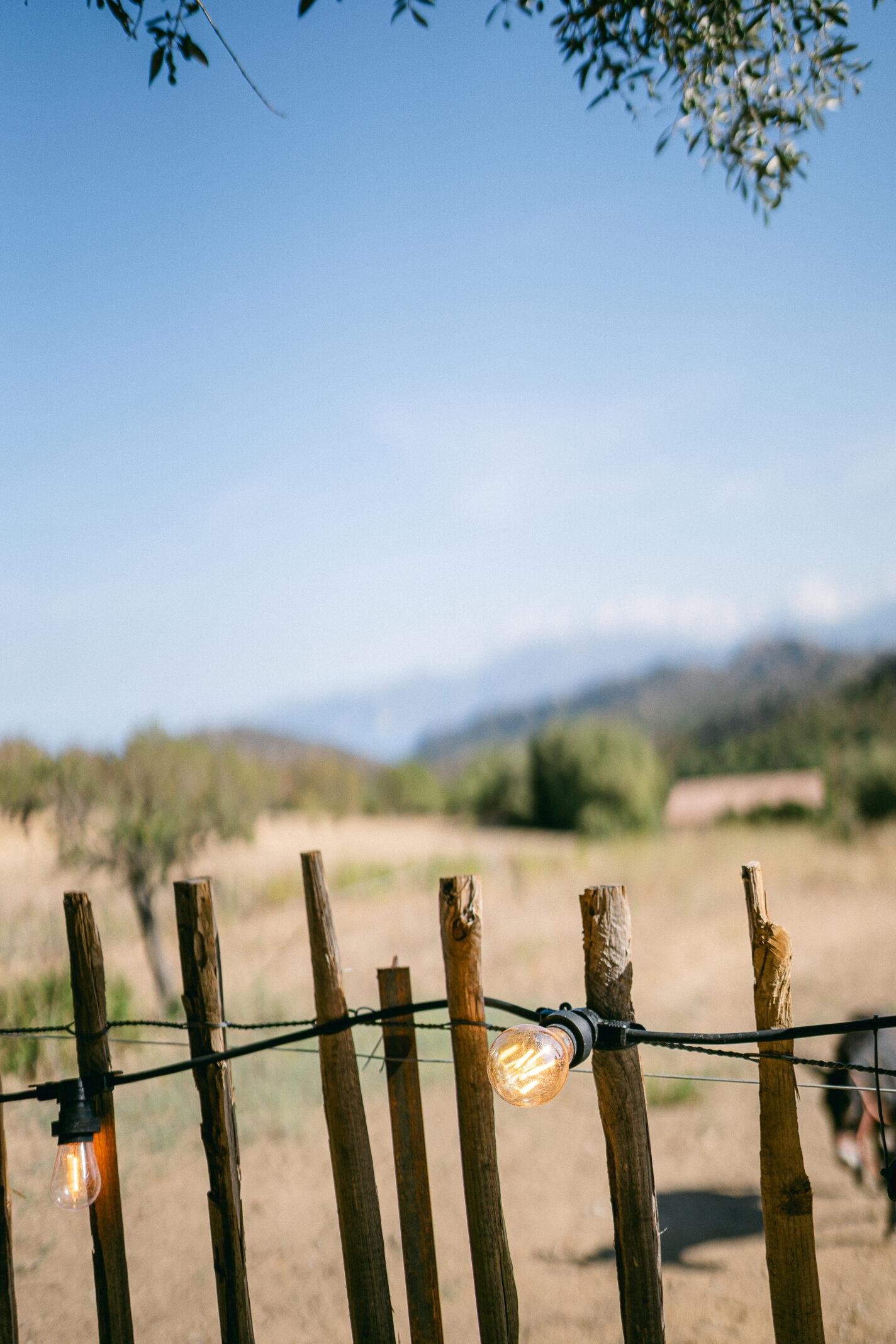 Domaine de mariages en Corse - domaine I Mucali