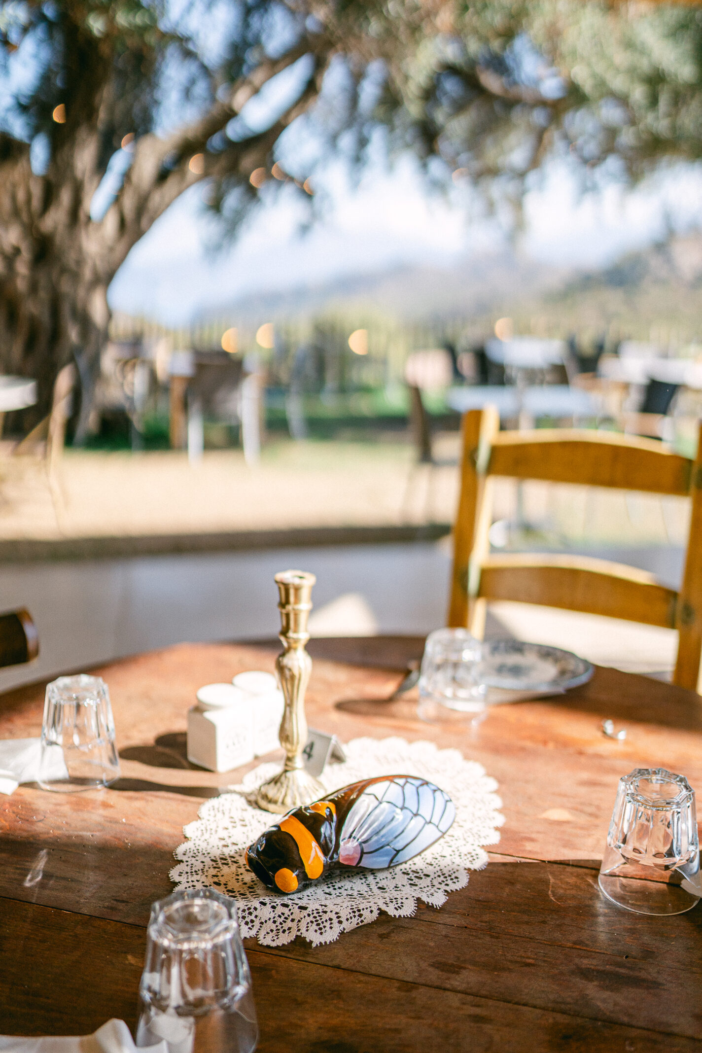 Domaine de mariages en Corse - domaine I Mucali
