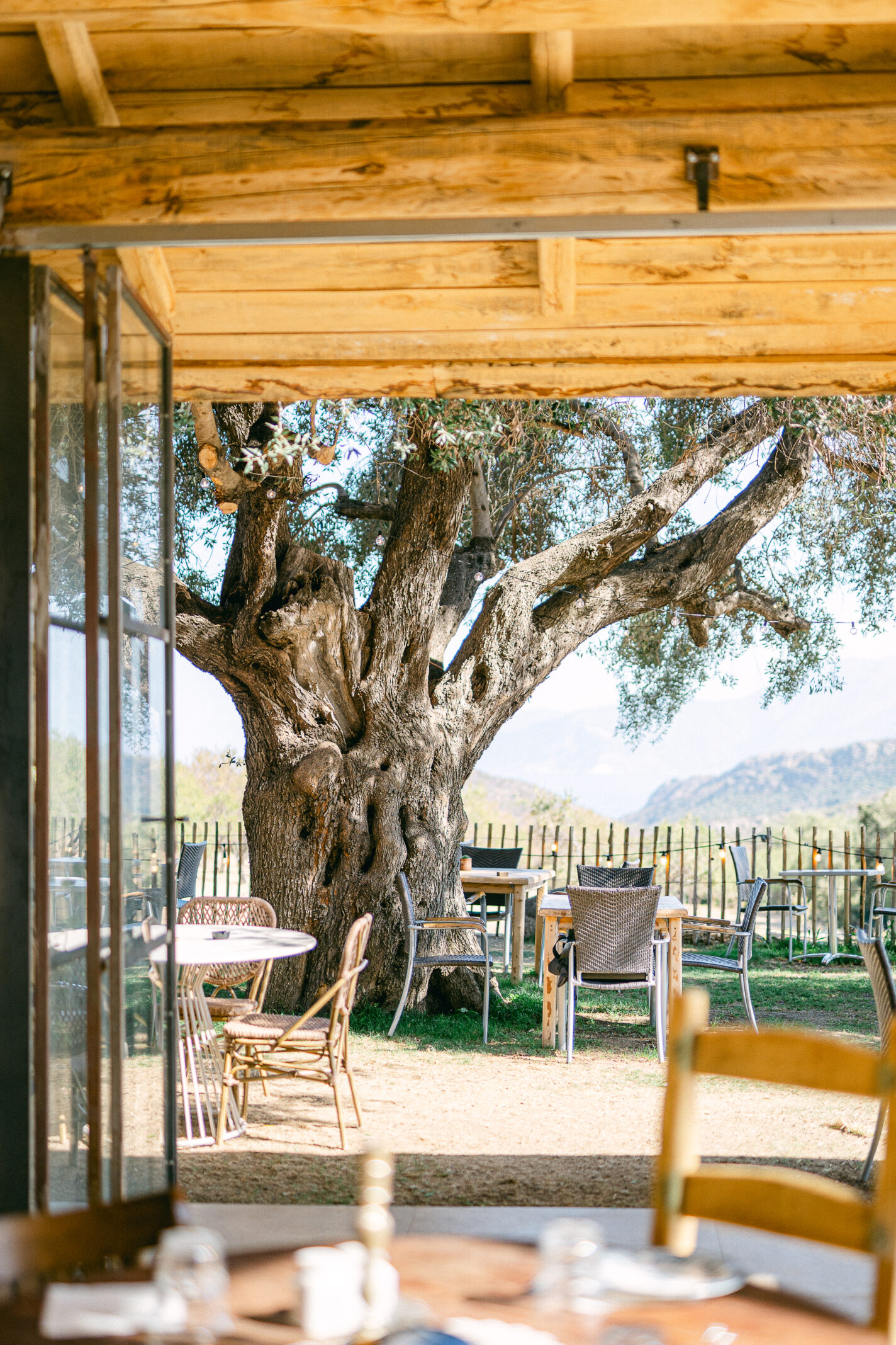 Domaine de mariages en Corse - domaine I Mucali