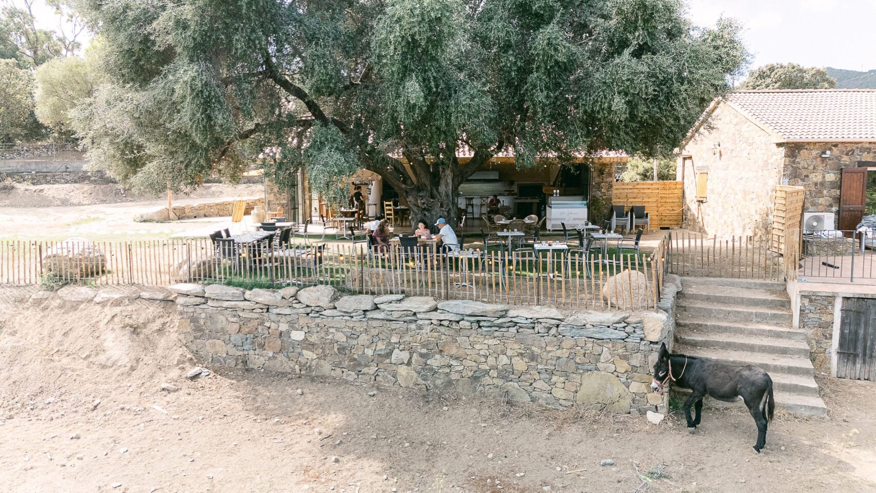 Domaine de mariages en Corse - domaine I Mucali