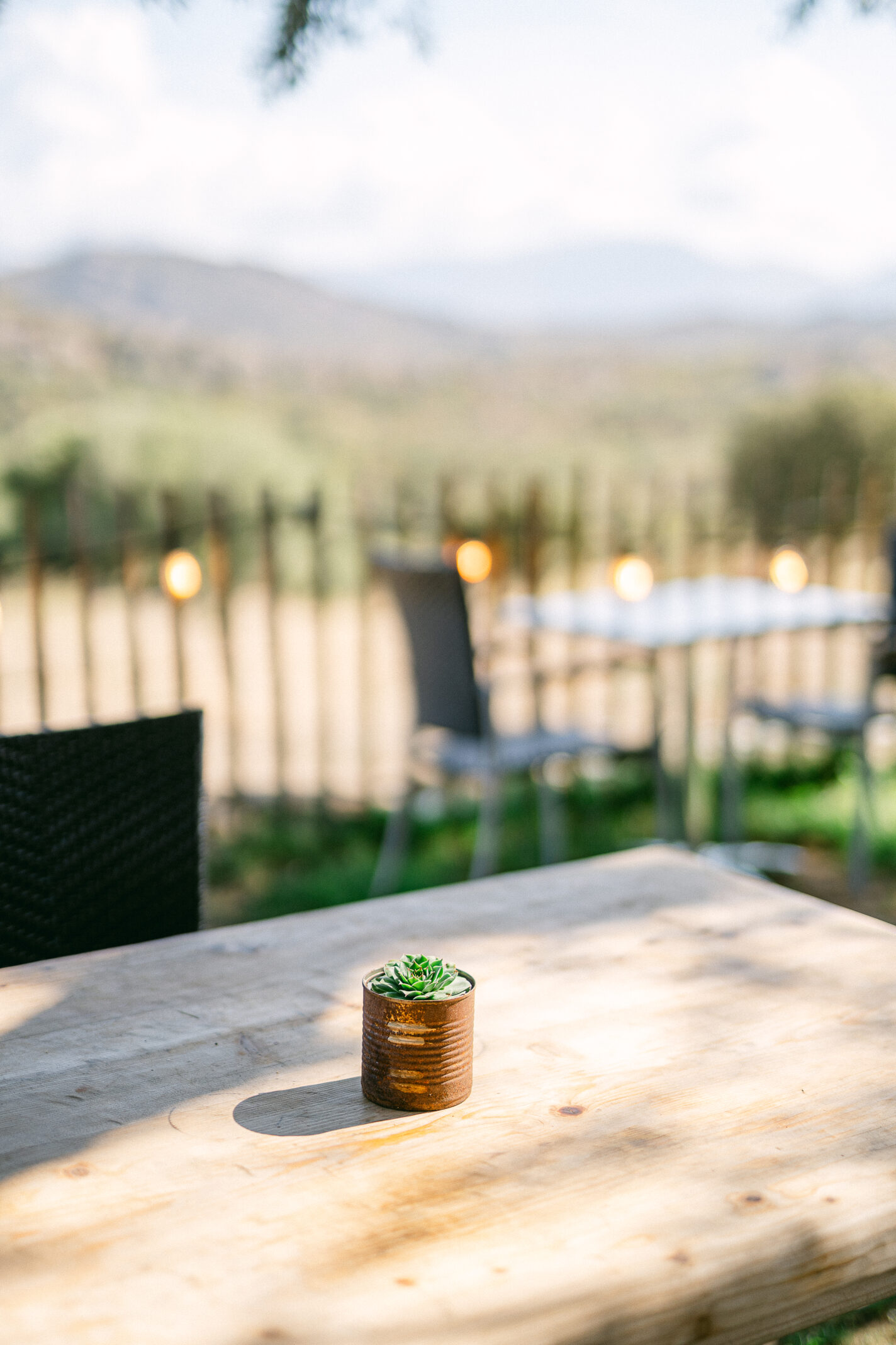 Domaine de mariages en Corse - domaine I Mucali