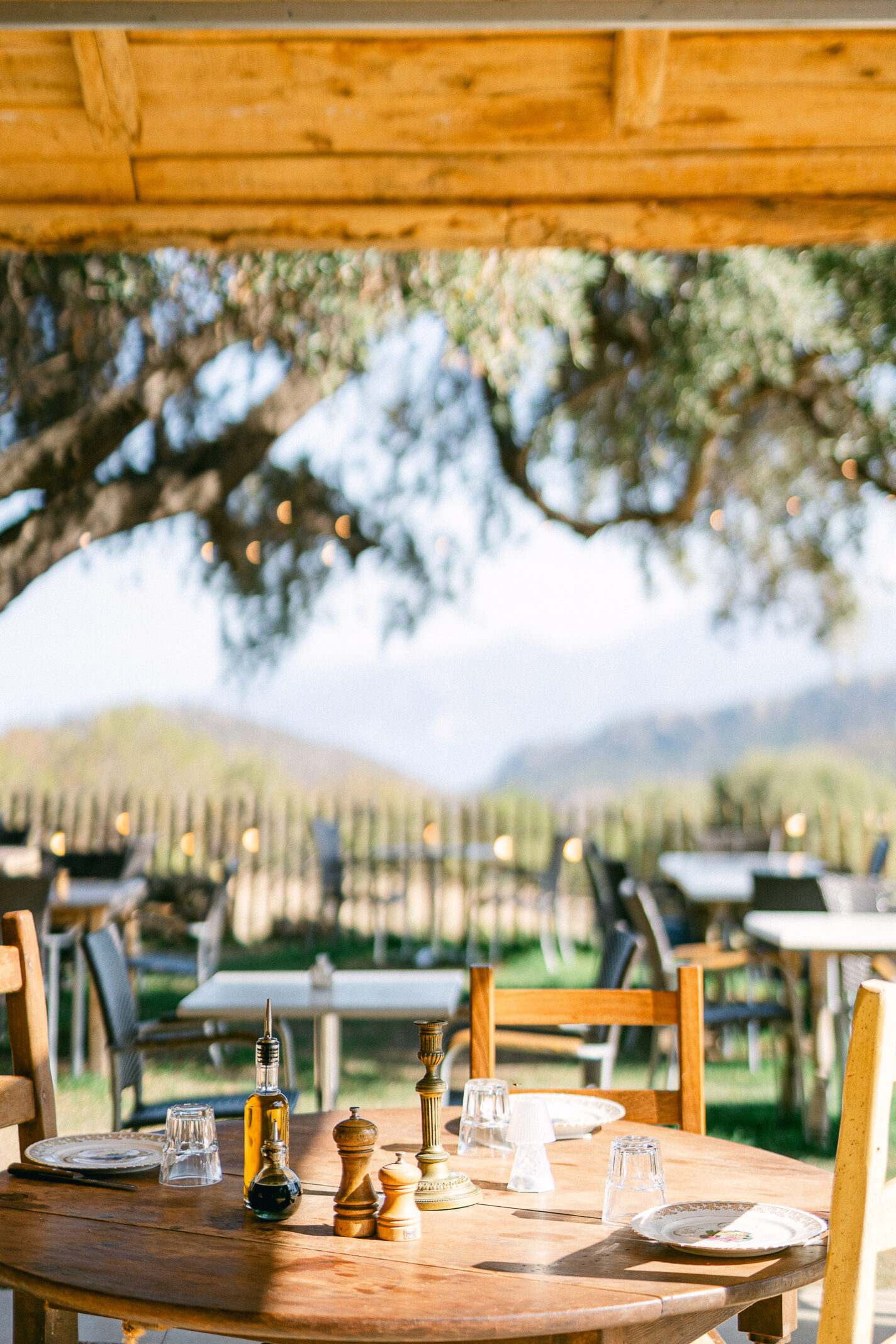 Domaine de mariages en Corse - domaine I Mucali
