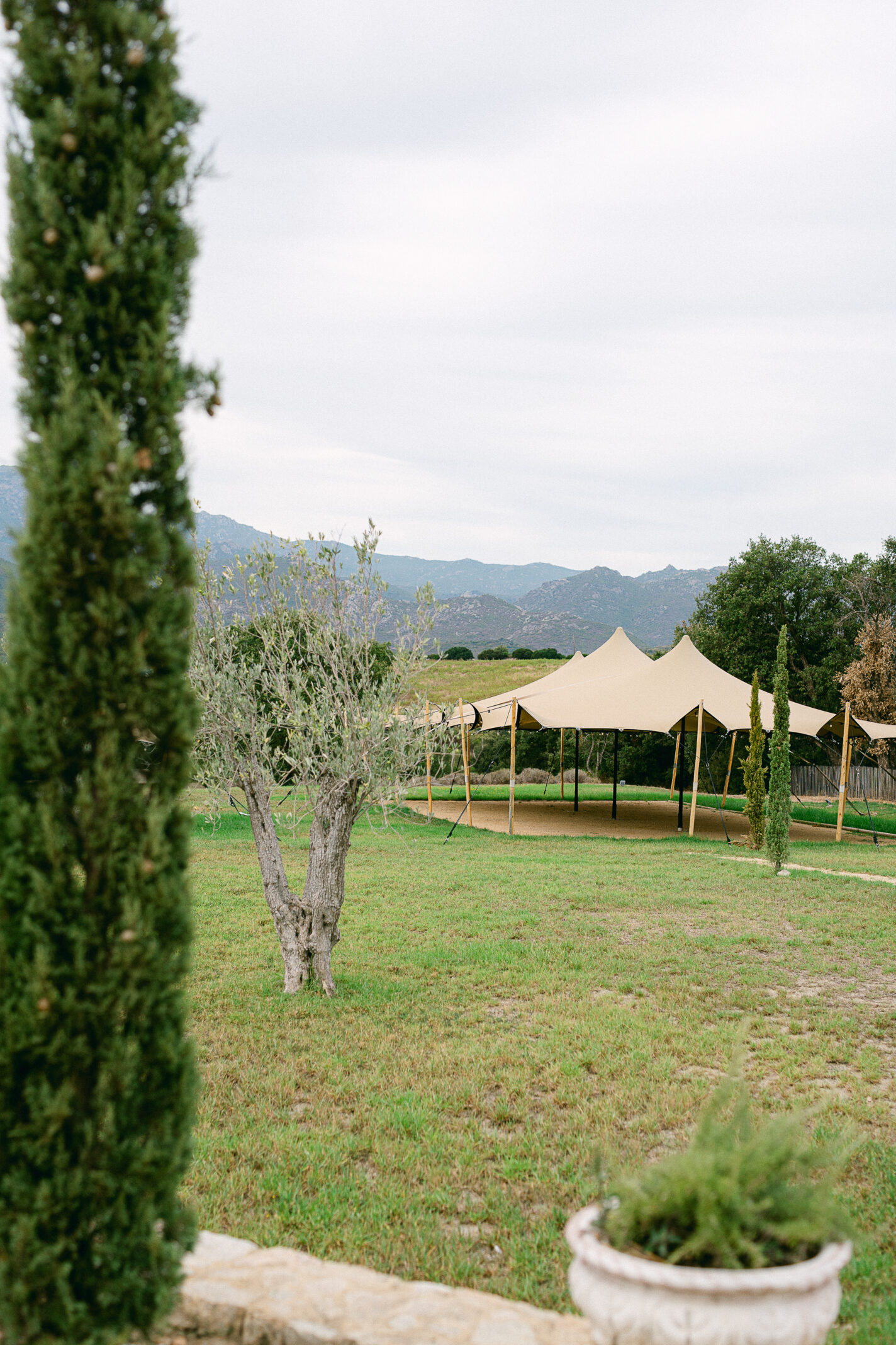 Domaine de mariages en Corse - domaine Terra d'Oru