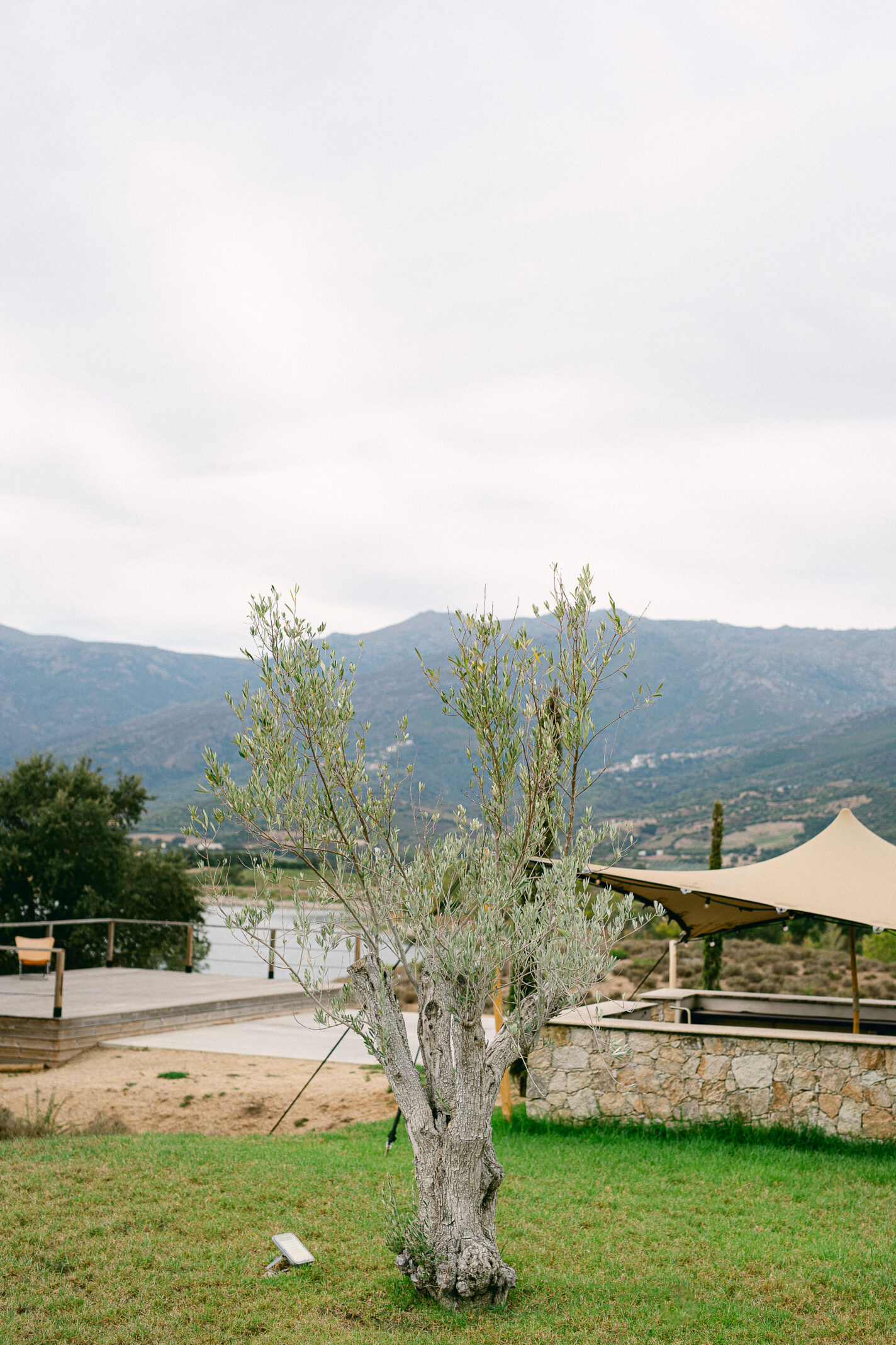 Domaine de mariages en Corse - domaine Terra d'Oru