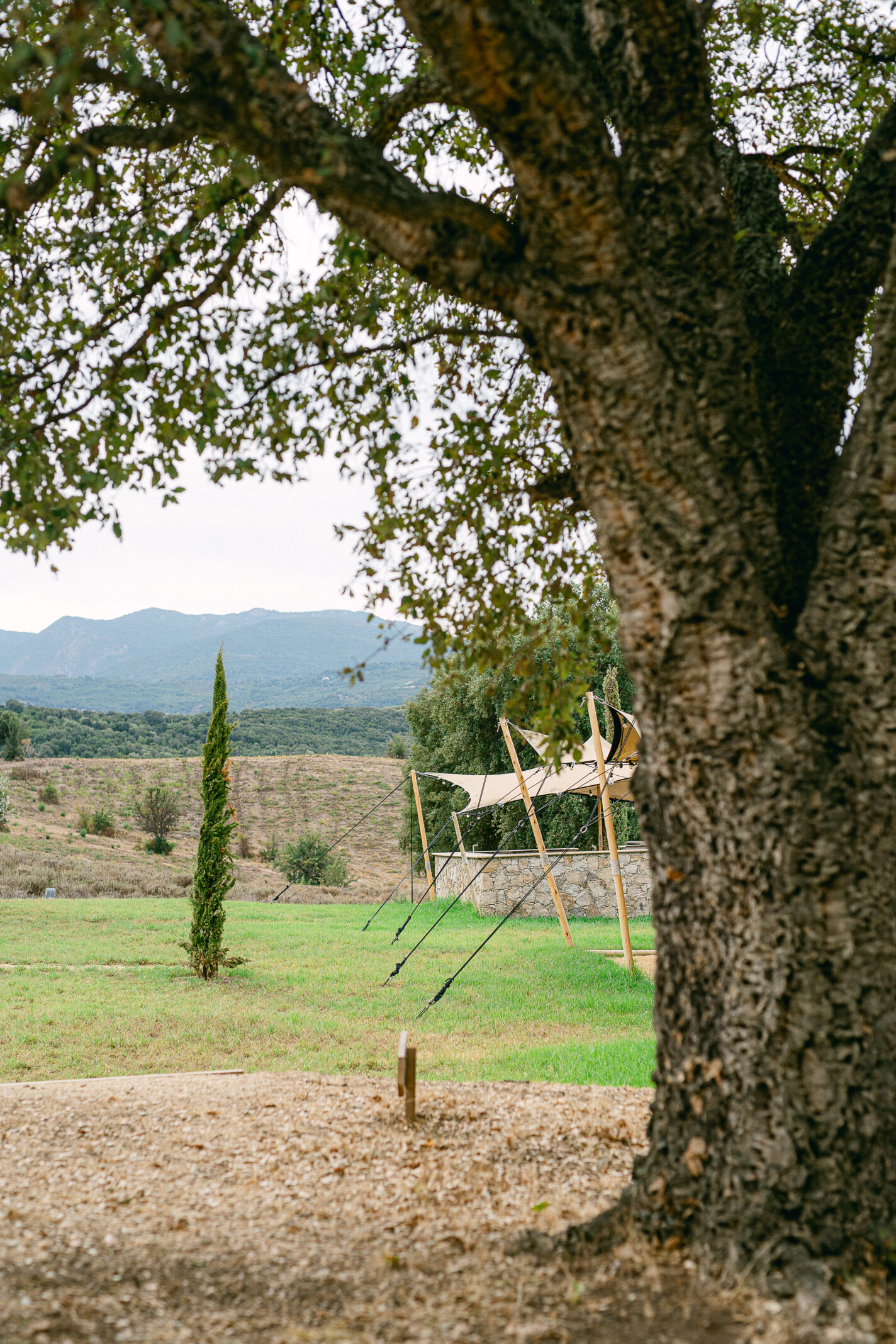 Domaine de mariages en Corse - domaine Terra d'Oru