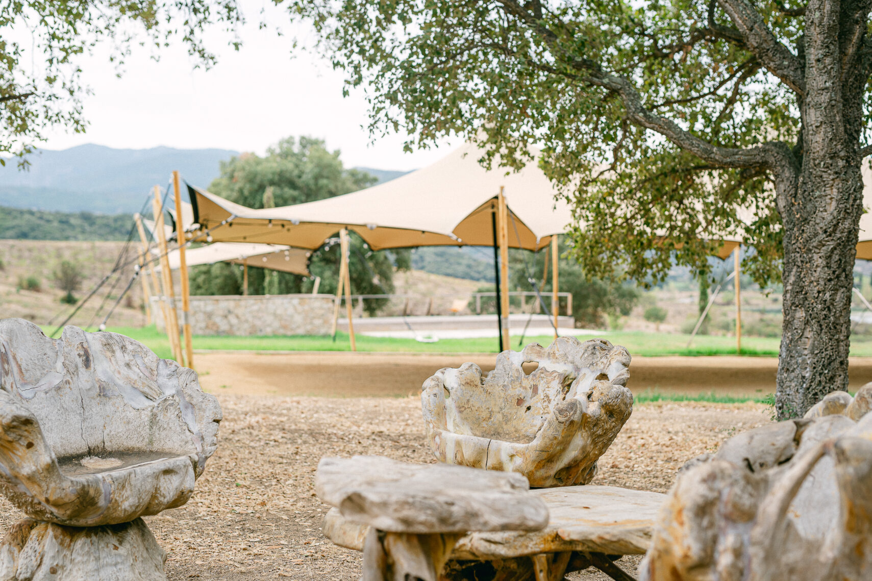 Domaine de mariages en Corse - domaine Terra d'Oru