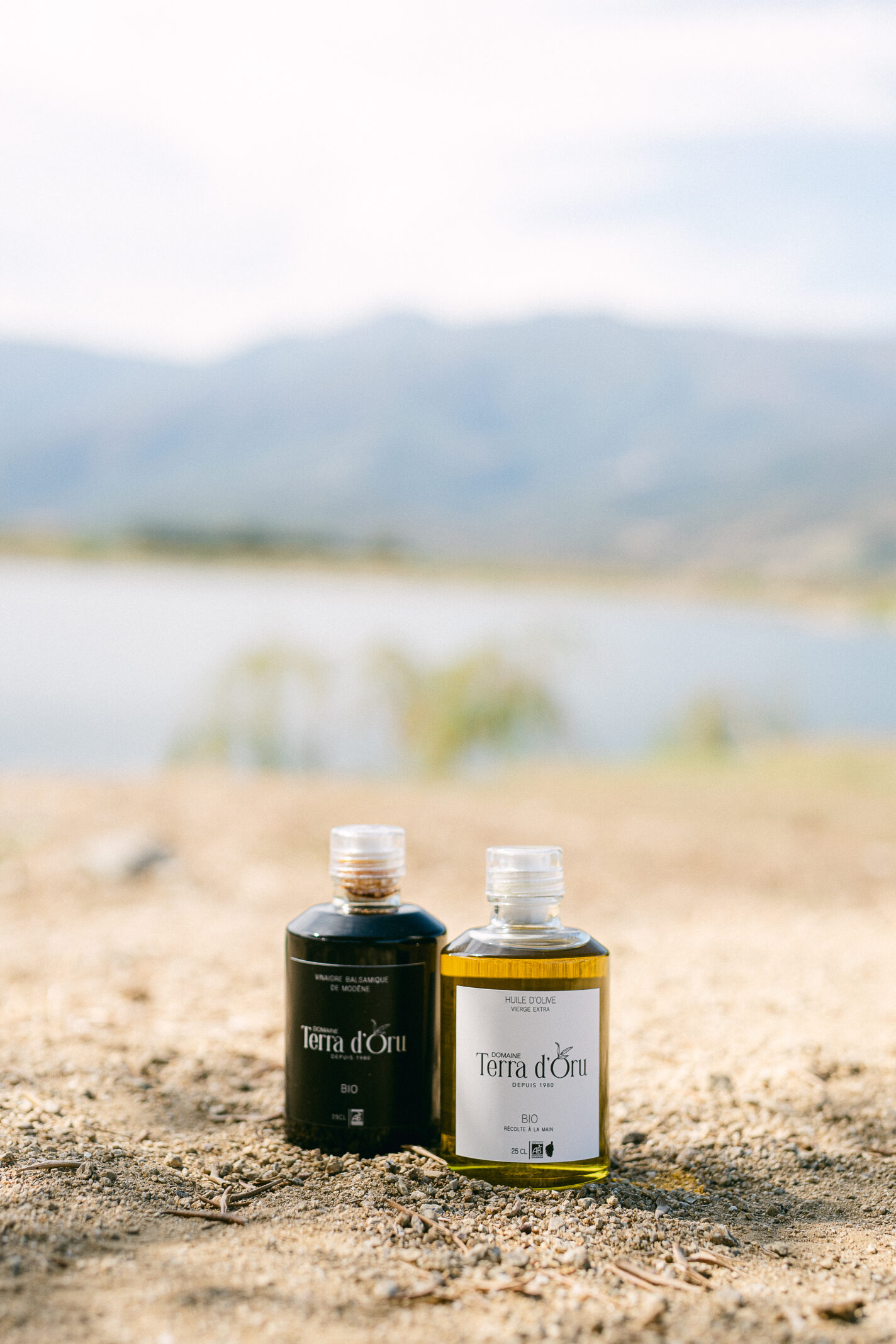 Domaine de mariages en Corse - domaine Terra d'Oru