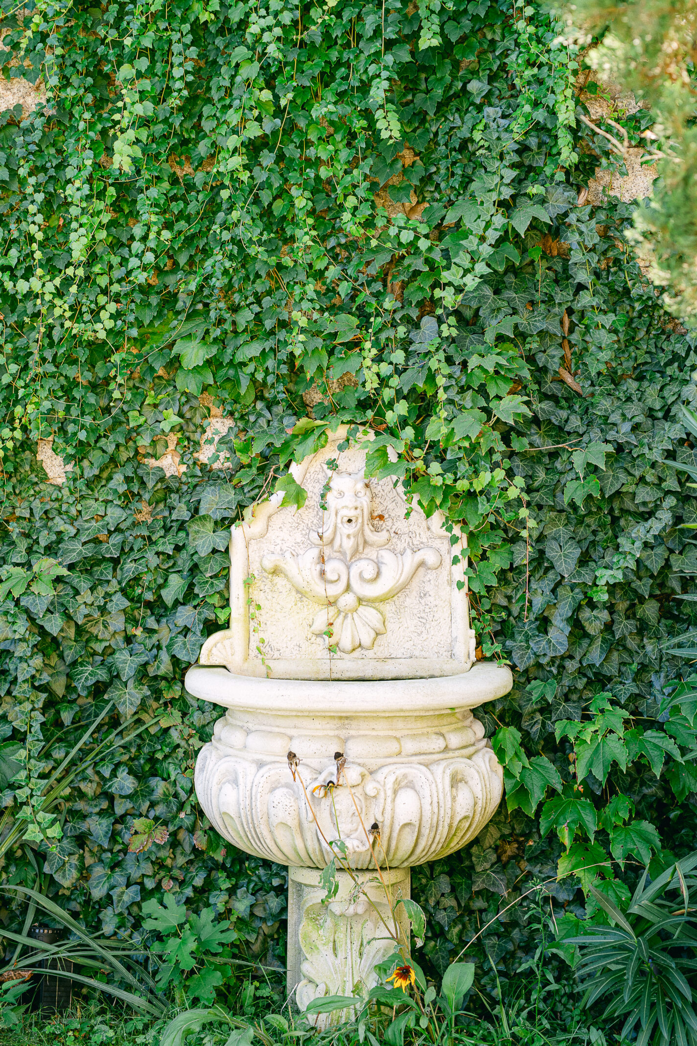 Domaine de mariages en Corse - domaine U Palazzu