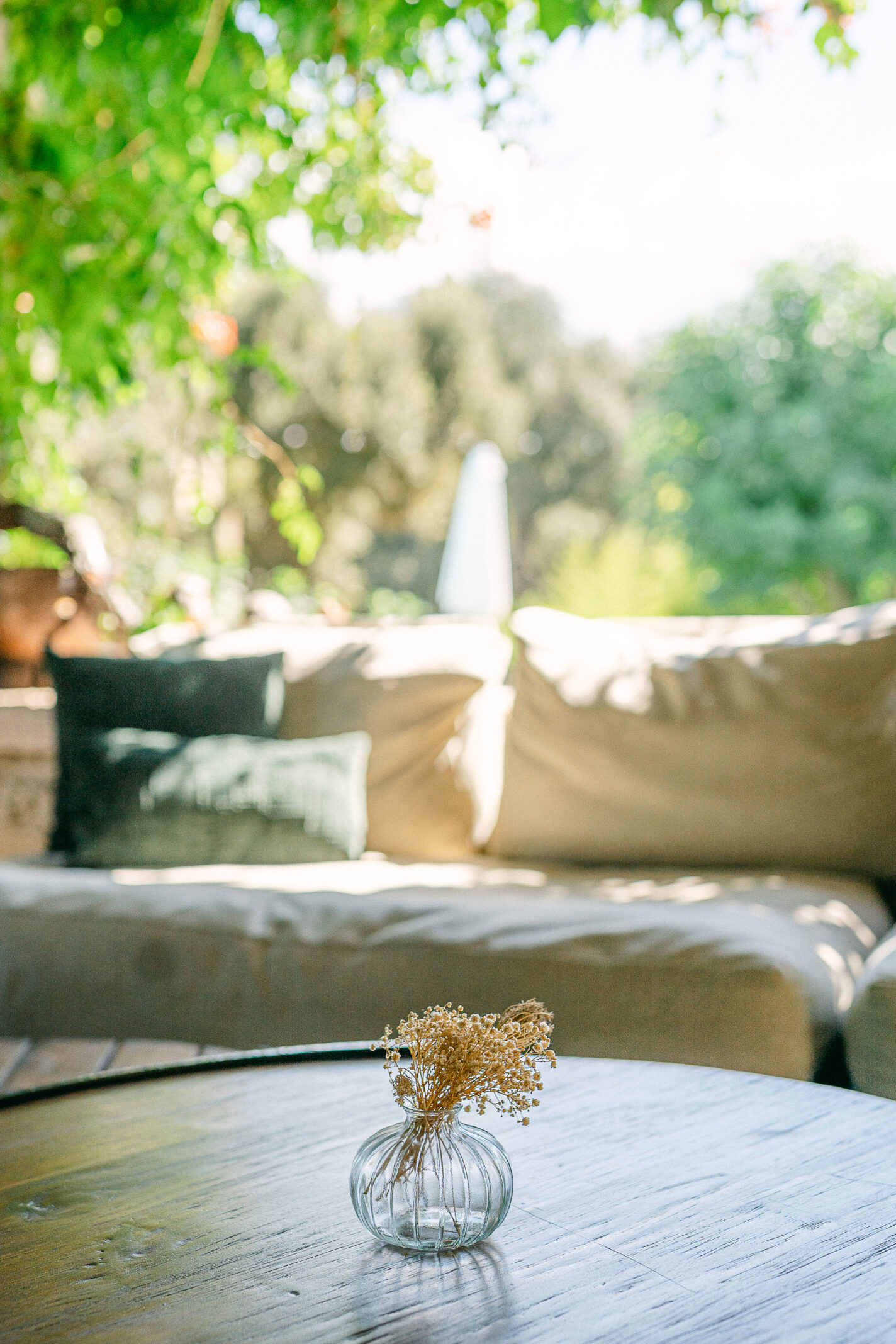 Domaine de mariages en Corse - domaine U Palazzu