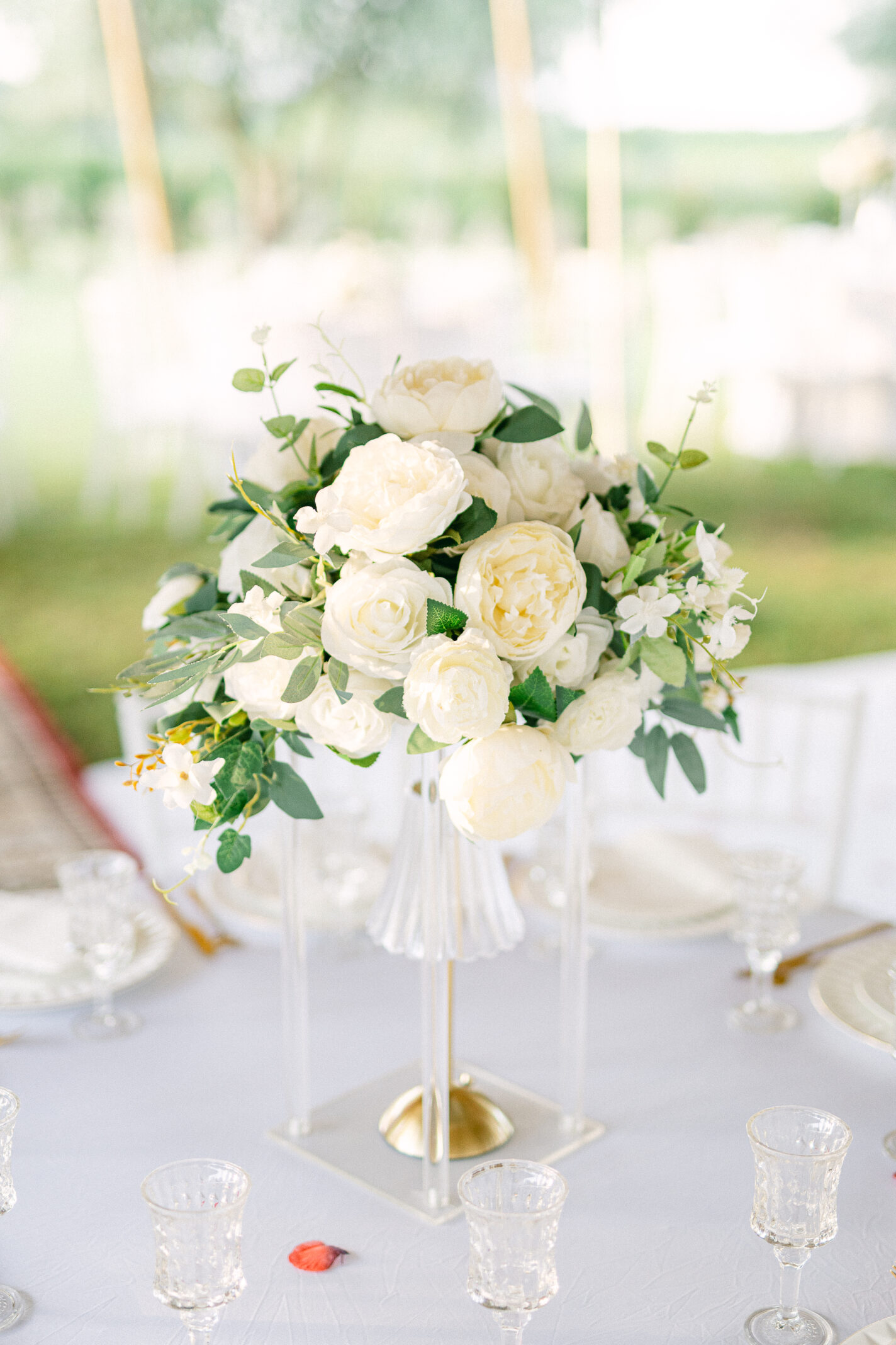 Domaine de mariages en Corse - domaine l'Alivetu