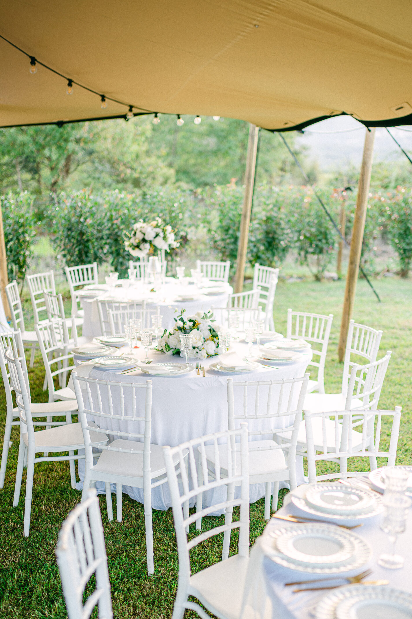 Domaine de mariages en Corse - domaine l'Alivetu