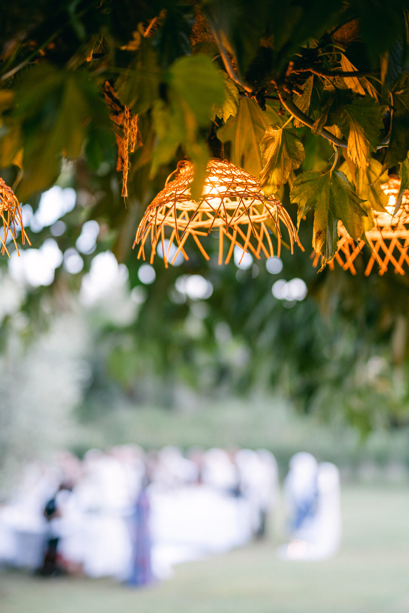 Domaine de mariages en Corse - domaine l'Alivetu